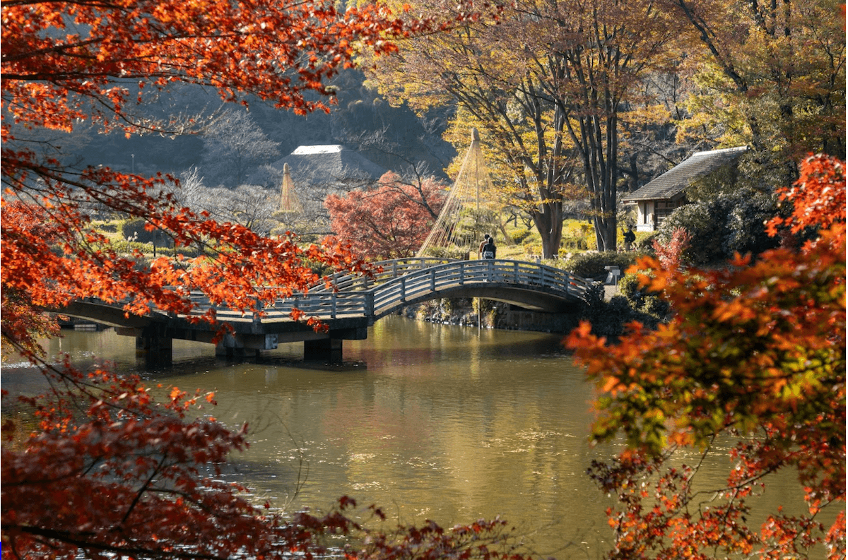 京都にも負けない紅葉がゆっくり楽しめます【PR】